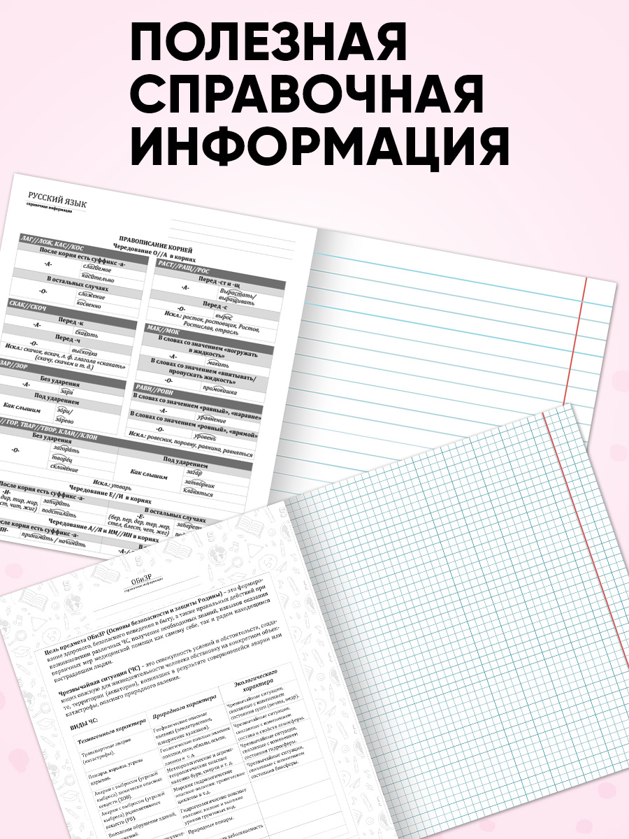 Тетрадь Prof-Press 24 лист. 10 шт. (Иностранный язык, Биология, История, Русский язык, Литература, Алгебра) - фото 5