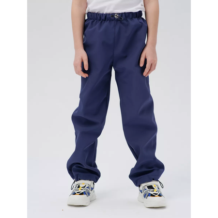 Брюки Lemonwear