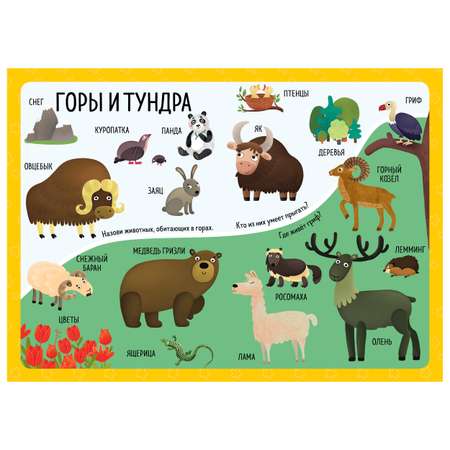 Книга Clever Большая книга малыша Книжки-картонки Животные со всего света