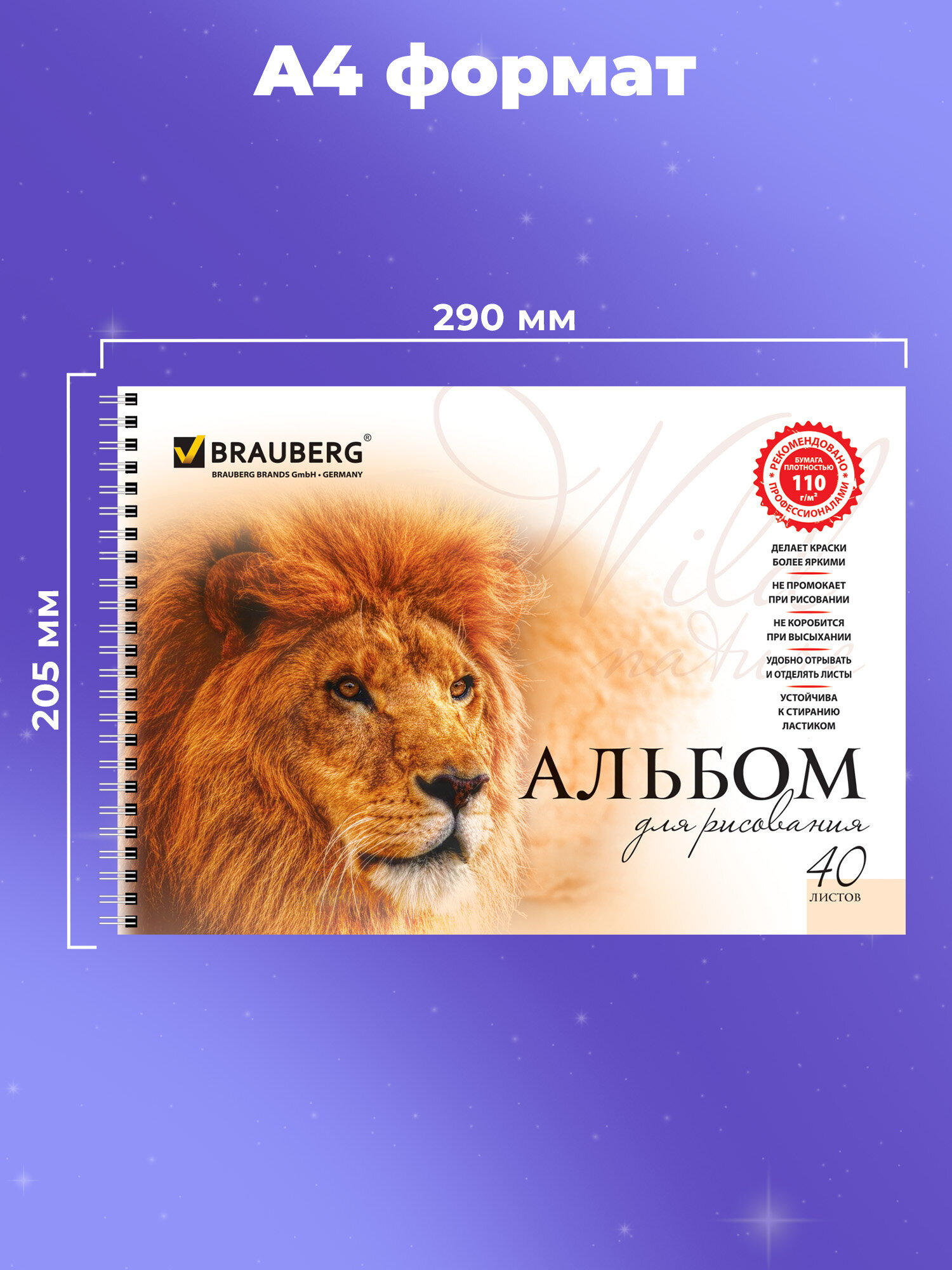 Альбом Brauberg А4 2 шт. - фото 5