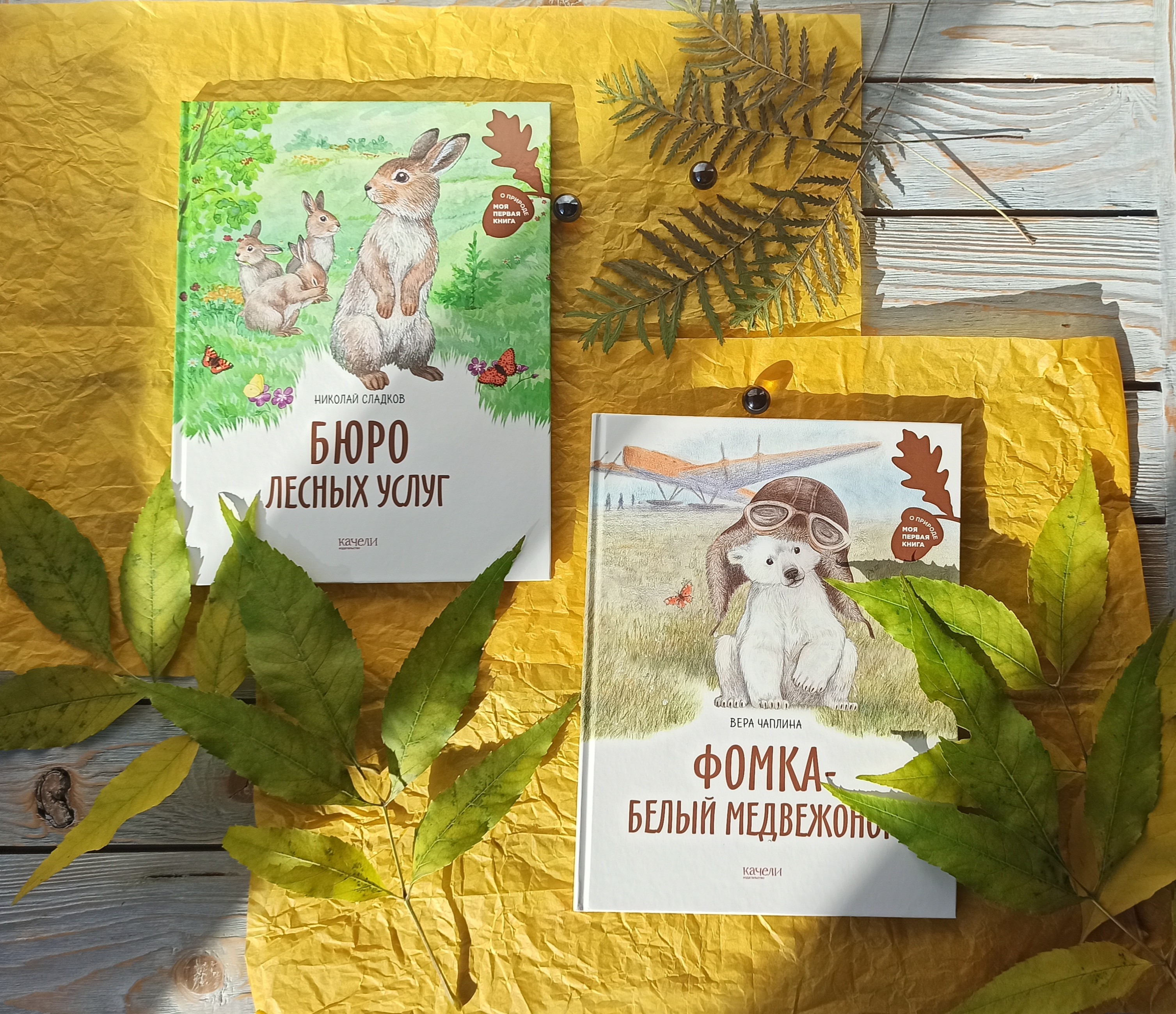 Книга Качели Фомка - белый медвежонок - фото 3