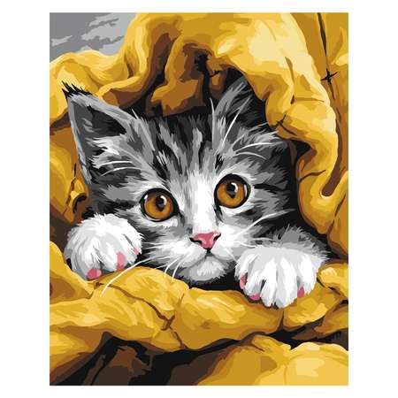 Картина по номерам Hobby Paint Котёнок в ассортименте
