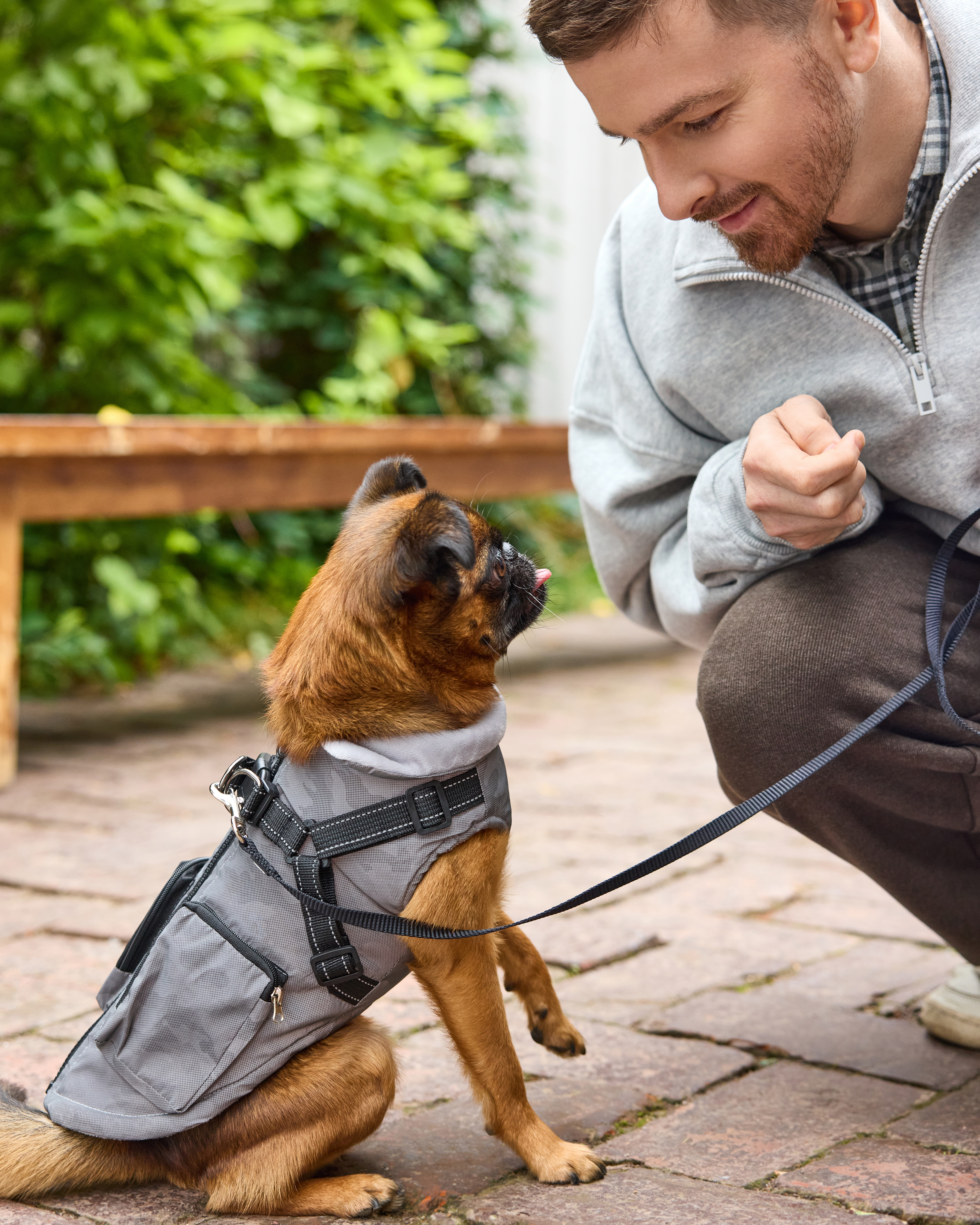 Жилет для собак и кошек Зоозавр - фото 12