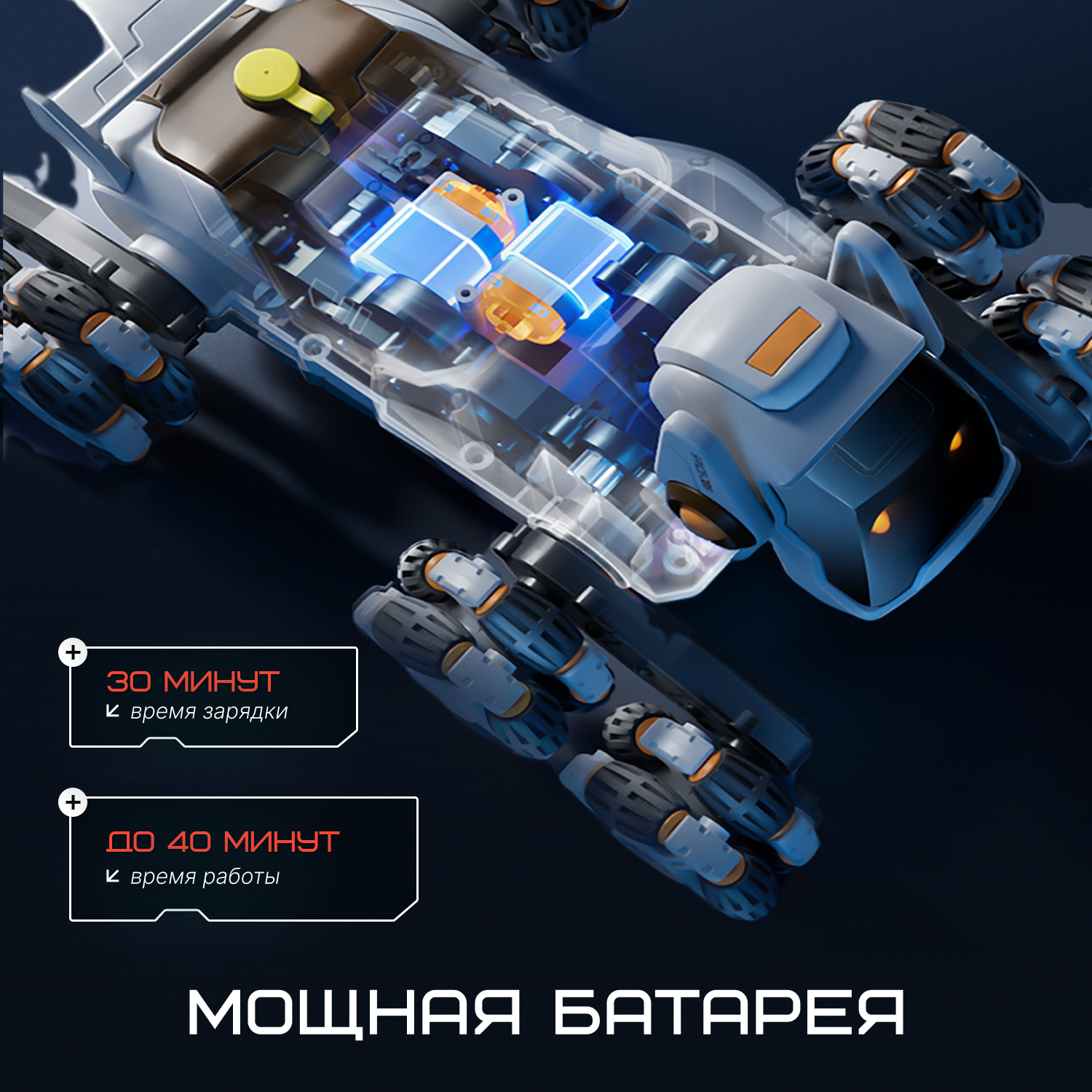 Собака РУ Tim Tin - фото 10