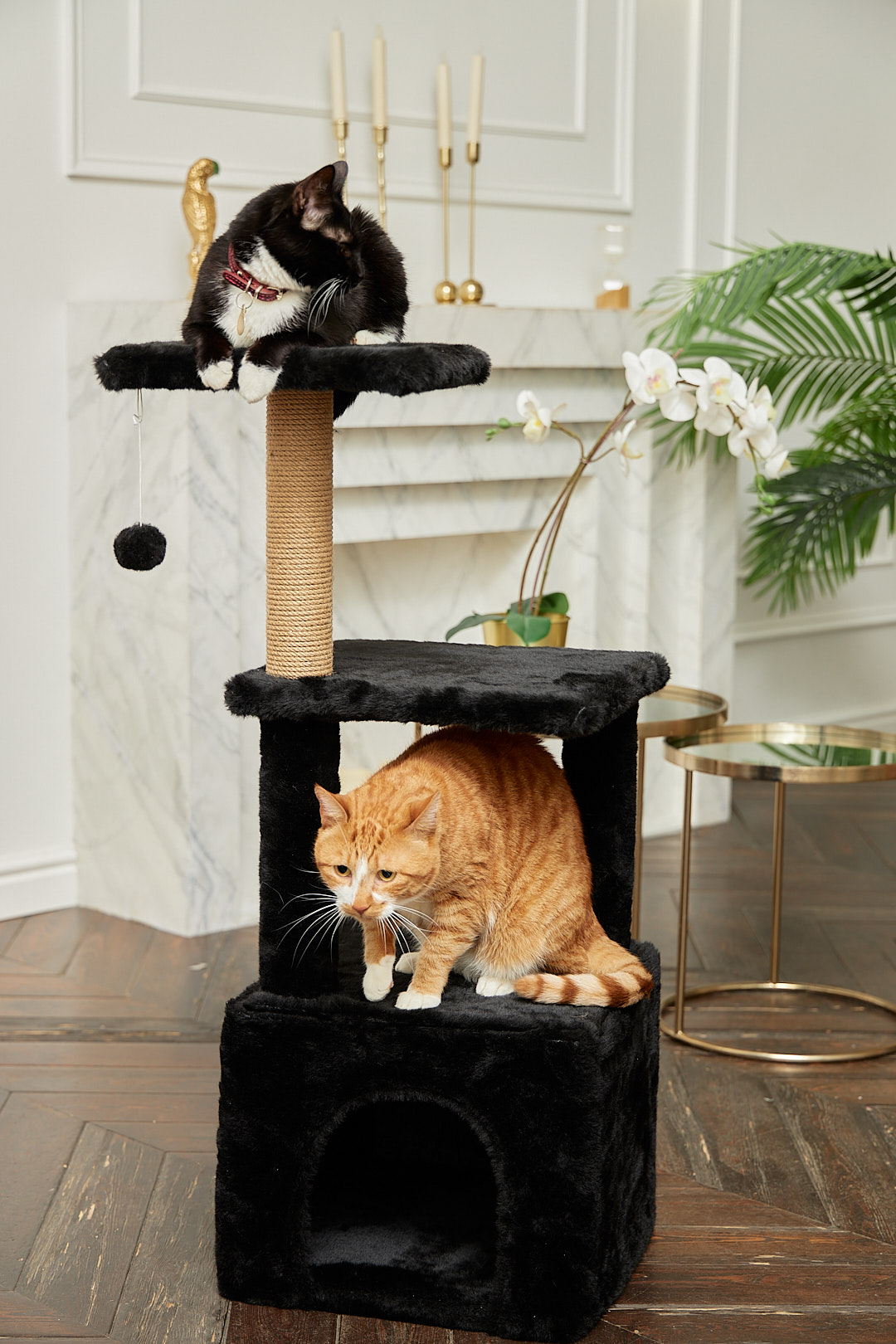 Домик для кошки с когтеточкой Pet БМФ Черный - фото 3