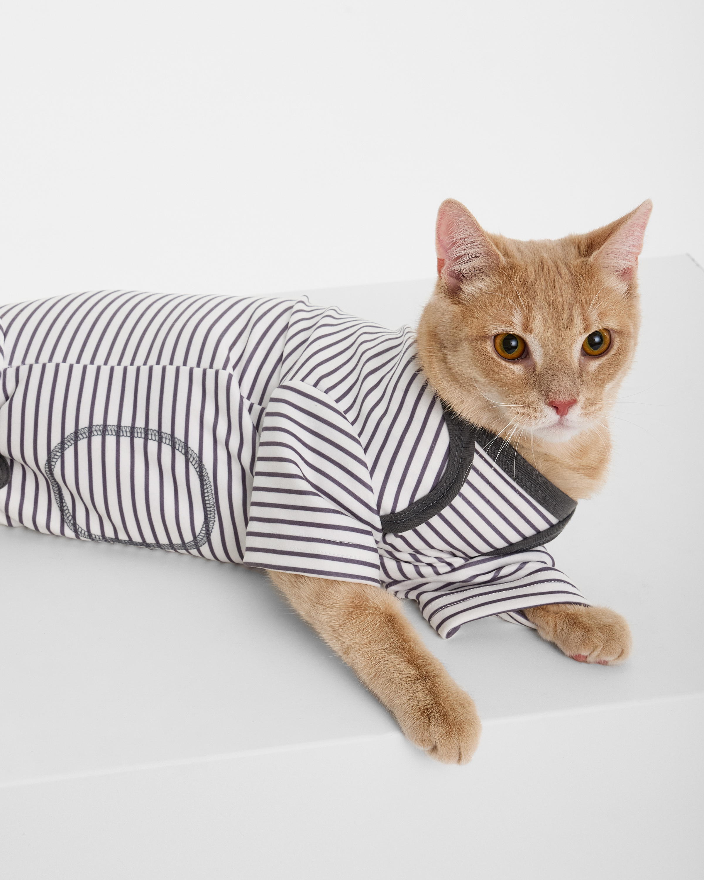 Изображение товара Комбинезон для собак и кошек Зоозавр: S