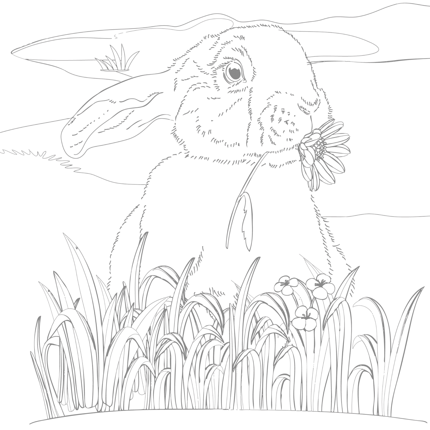 Раскраски Hatber Сюжеты для акварели-Юному художнику. Белка - фото 2