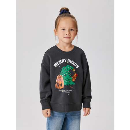 Свитшот Acoola