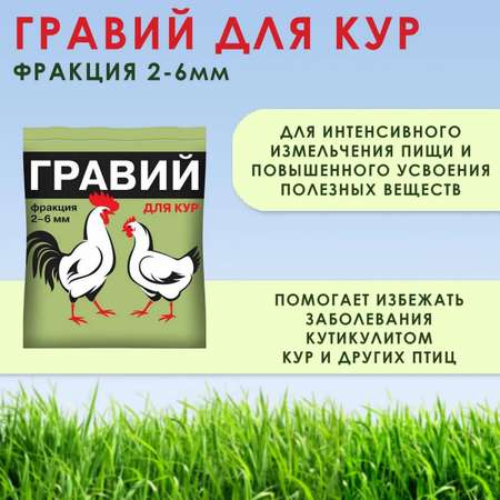Кормовая добавка Ваше Хозяйство для кур и другой домашней птицы Гравий 1кг
