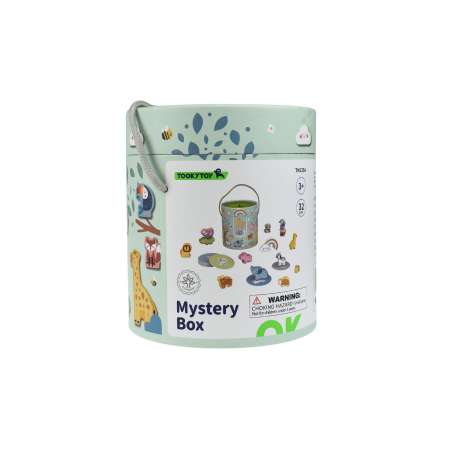 Игрушка Tooky Toy сортер