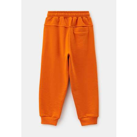 Брюки спортивные Nikasport