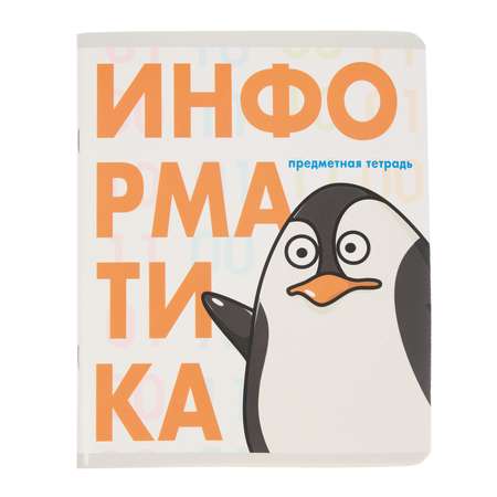 Тетрадь Erhaft 48 лист. (Информатика)