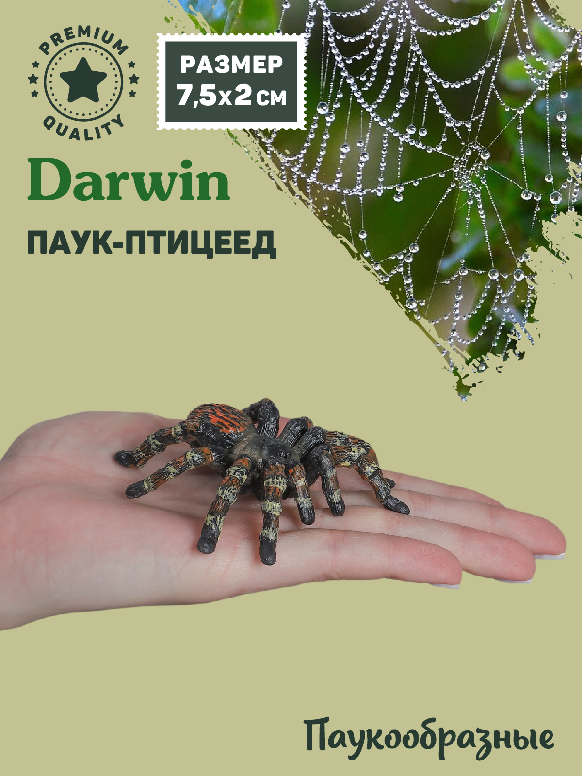 Фигурка DARWIN Паук птицеед - фото 2