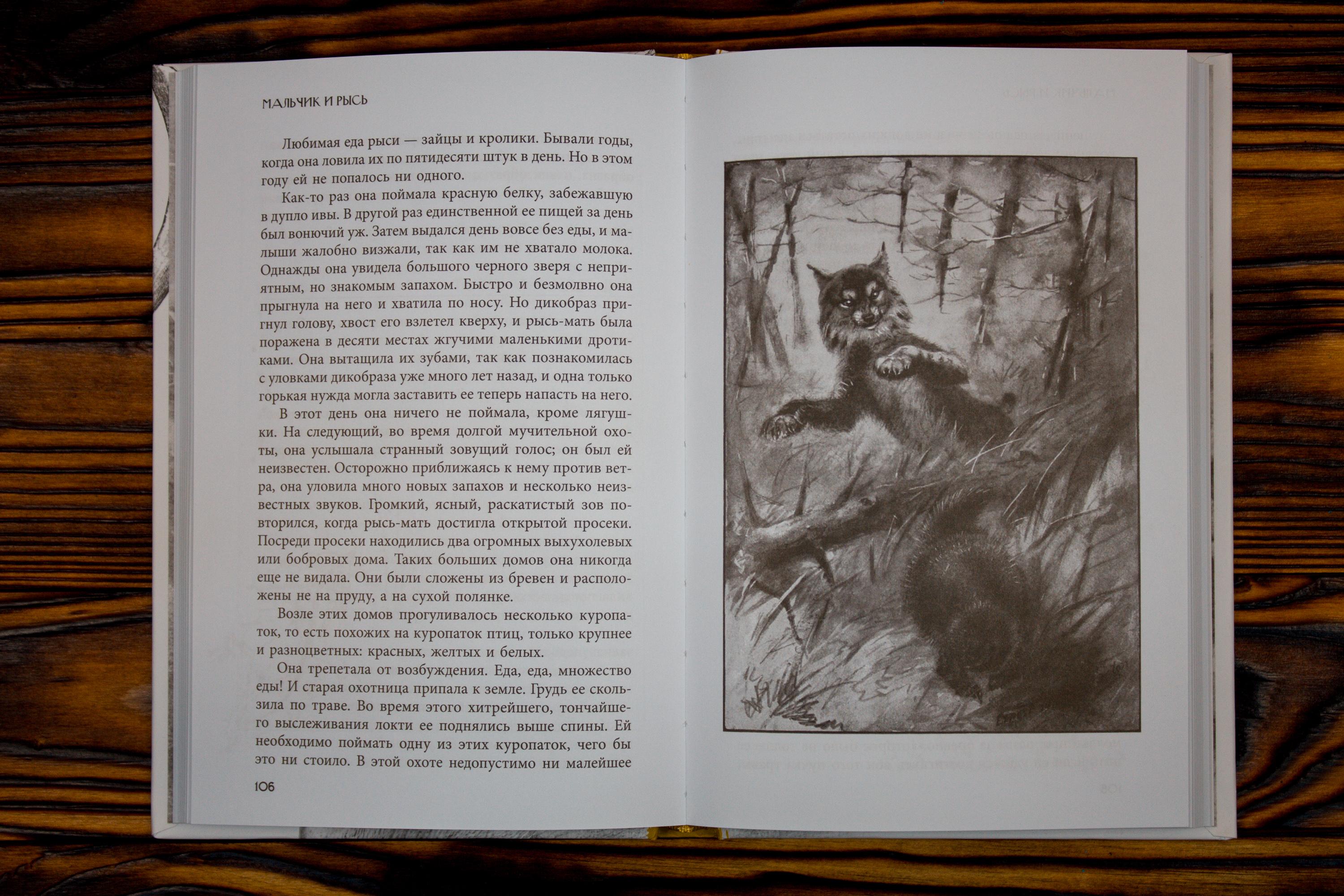 Книга Качели Животные-герои - фото 4