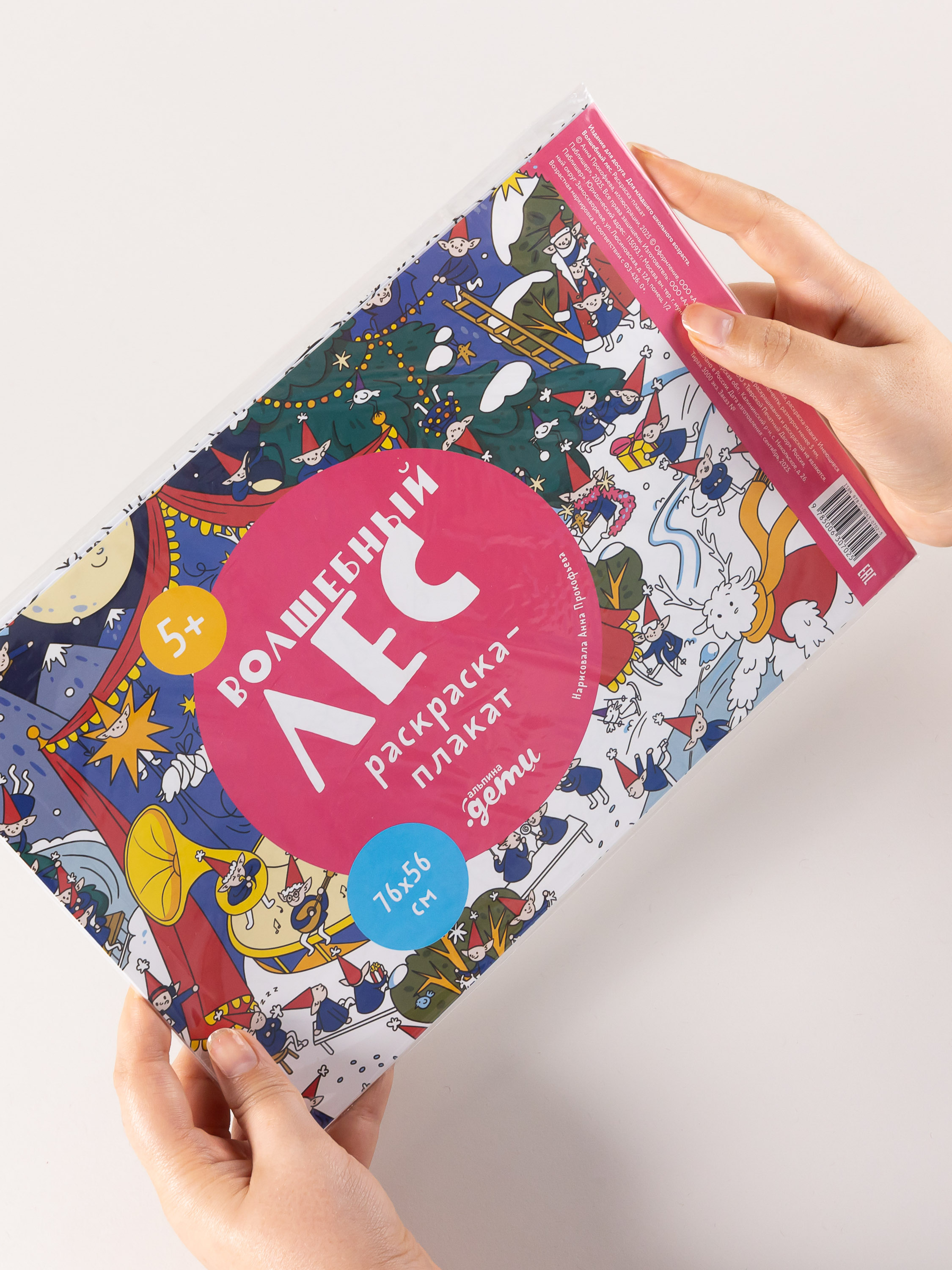 Книга Альпина. Дети Волшебный лес. Раскраска-плакат - фото 2