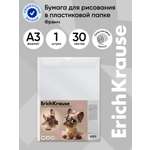 Папка для рисования ErichKrause 30 лист.