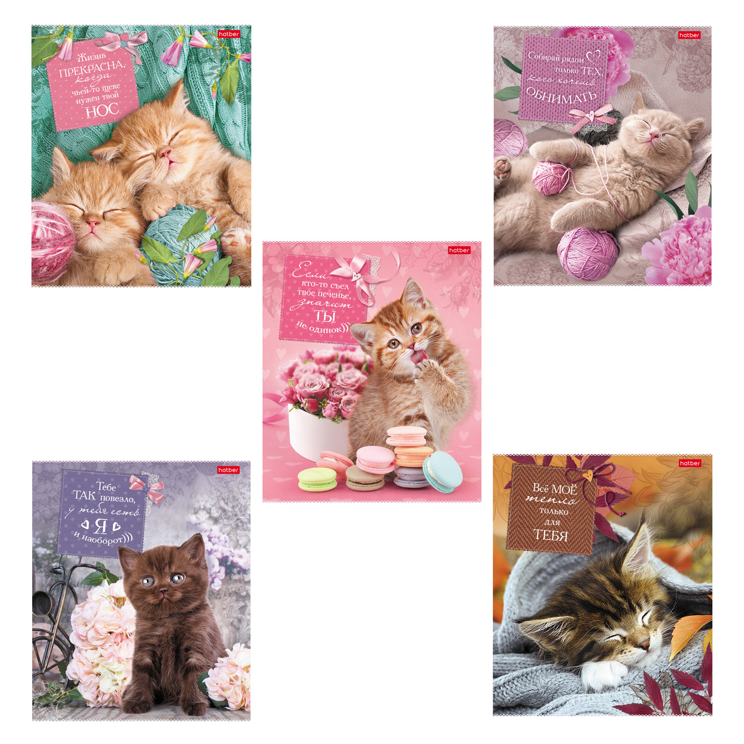 Изображение товара Общая тетрадь Hatber клетка 40 лист. в ассортименте