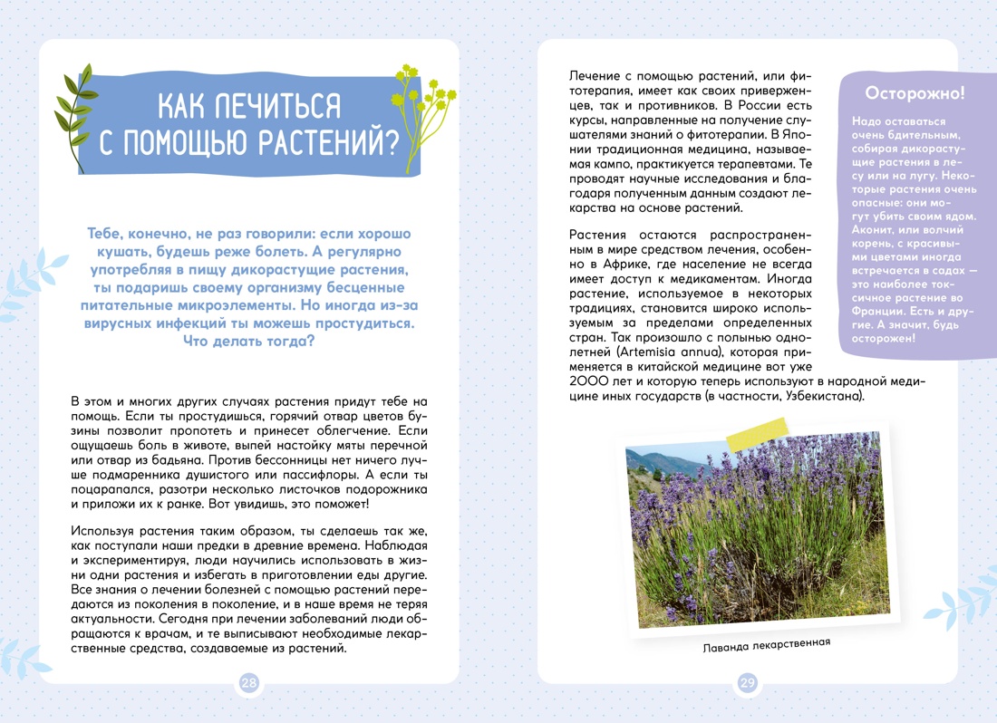 Книга Махаон Франсуа Куплан , Роберт Каплан. Растения вокруг нас - фото 9