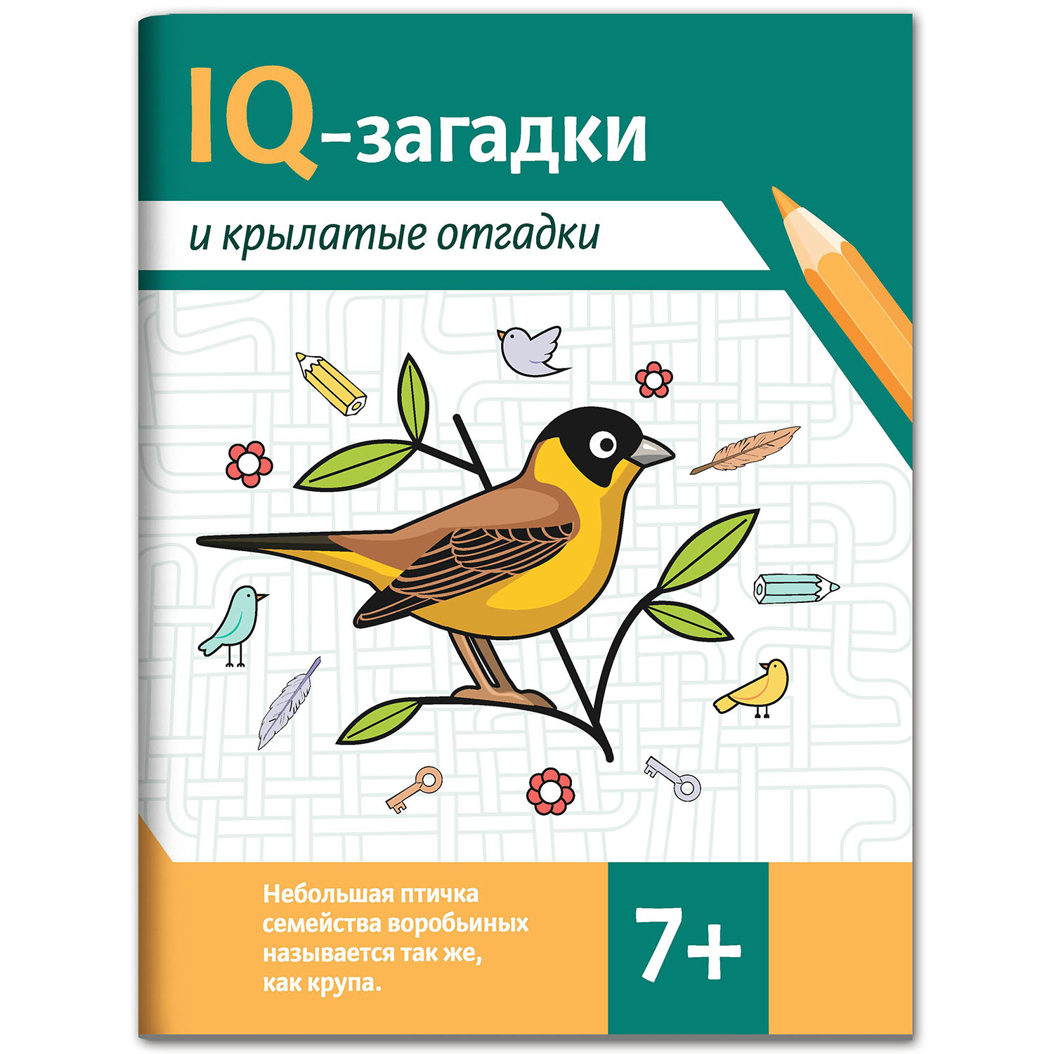 Набор из 4 книг Феникс IQ-загадки 7+ : Загадки для детей - фото 15
