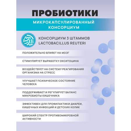 Art Life Панбиолакт Ментал, 60 капсул Арт Лайф Забота о ментальном здоровье.