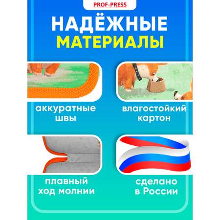 Пенал книжка Prof-Press