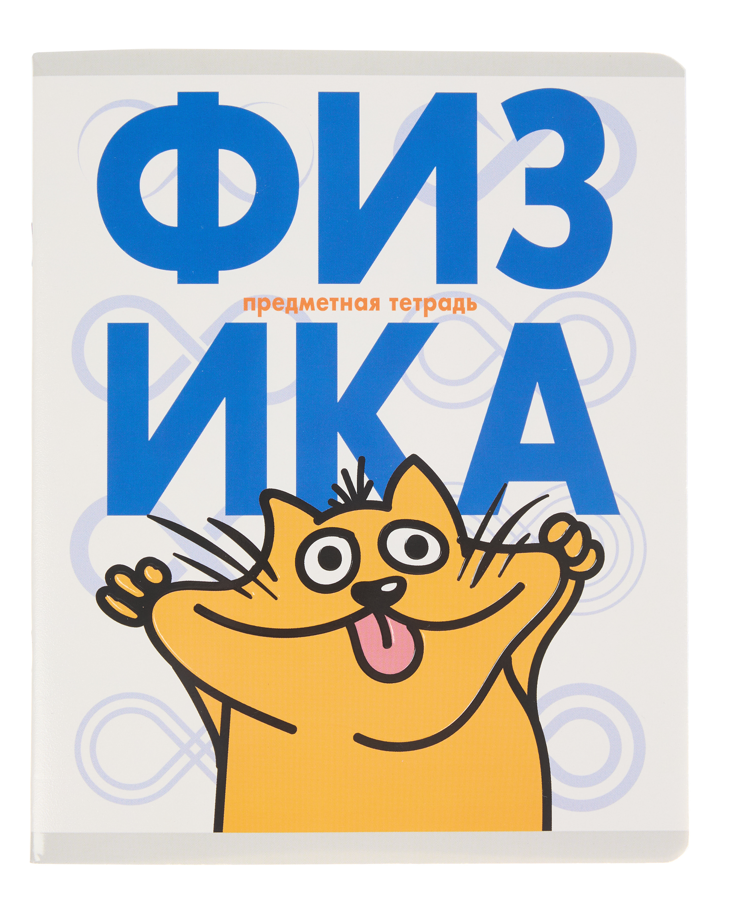 Тетрадь Erhaft 48 лист. (Физика) - фото 1