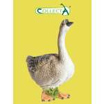 Фигурка Collecta Гусь