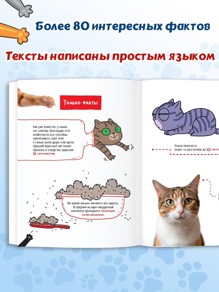 Книга Проф-Пресс детская энциклопедия Кошки Большие секреты маленьких хищников Мягкий переплет - фото 4