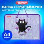 Папка для тетрадей Пифагор А4
