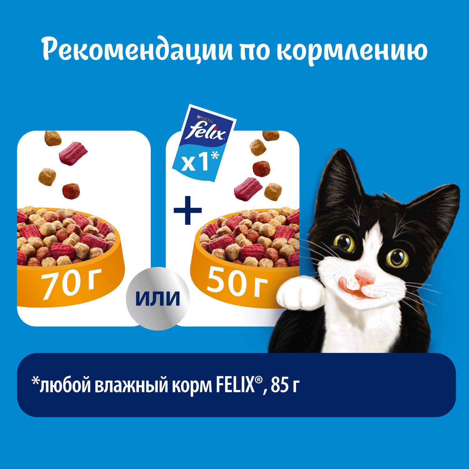 Корм для кошек Felix Двойная вкуснятина с птицей сухой 300г - фото 8