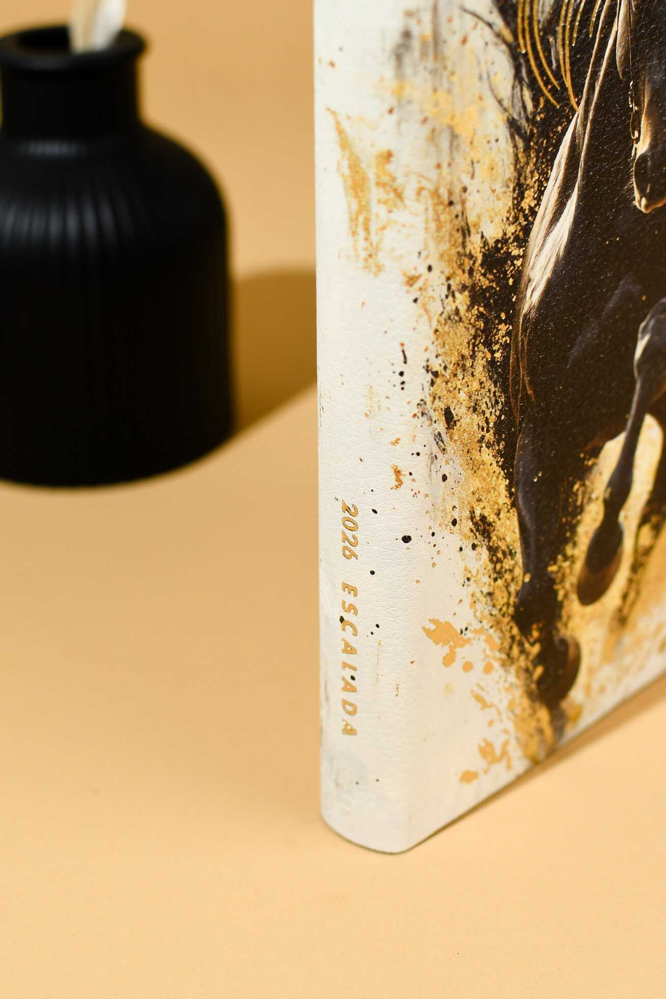 Ежедневник Феникс + ESCALADA 176 лист. - фото 12