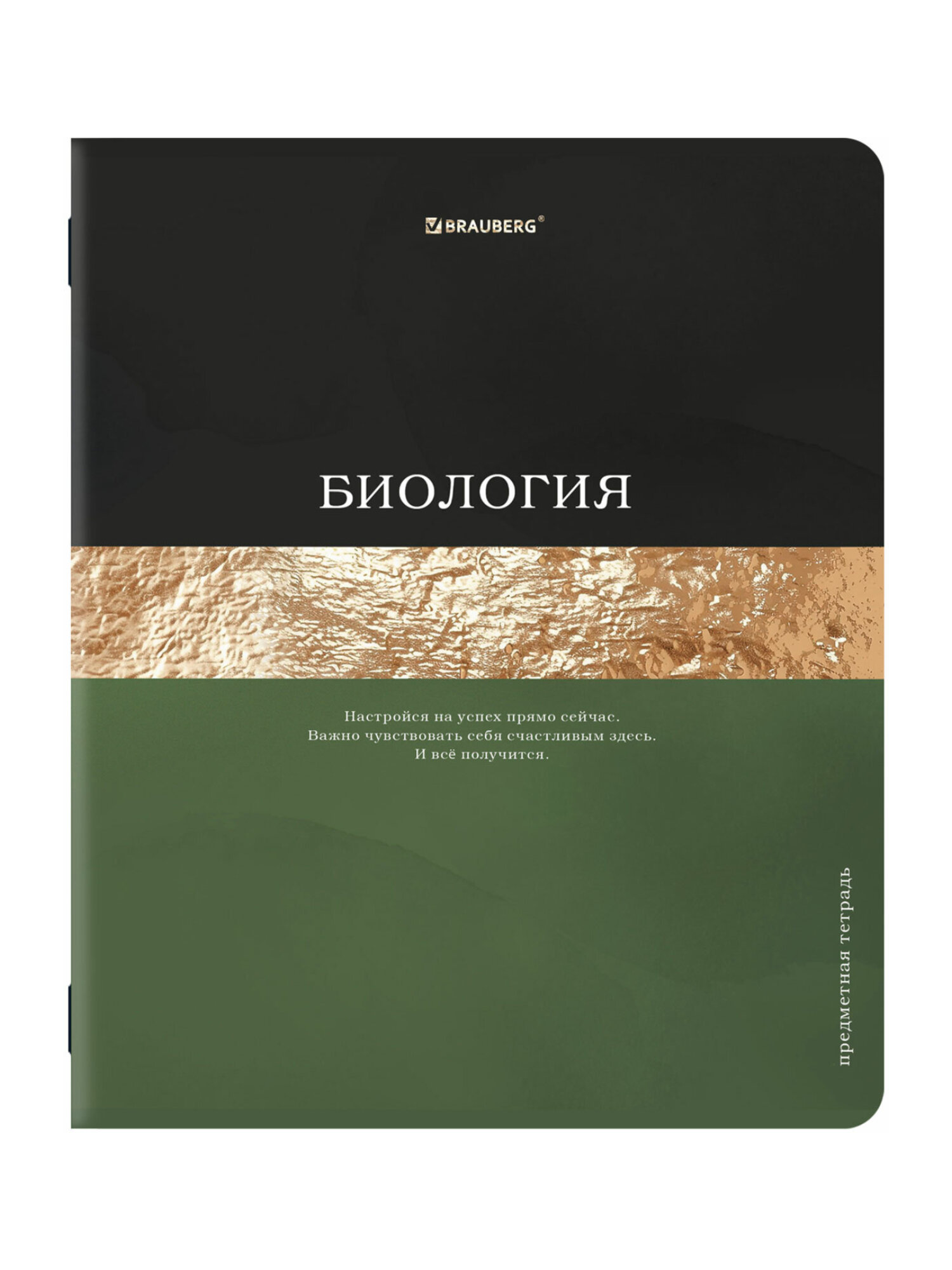 Тетрадь Brauberg 48 лист. 12 шт. - фото 13