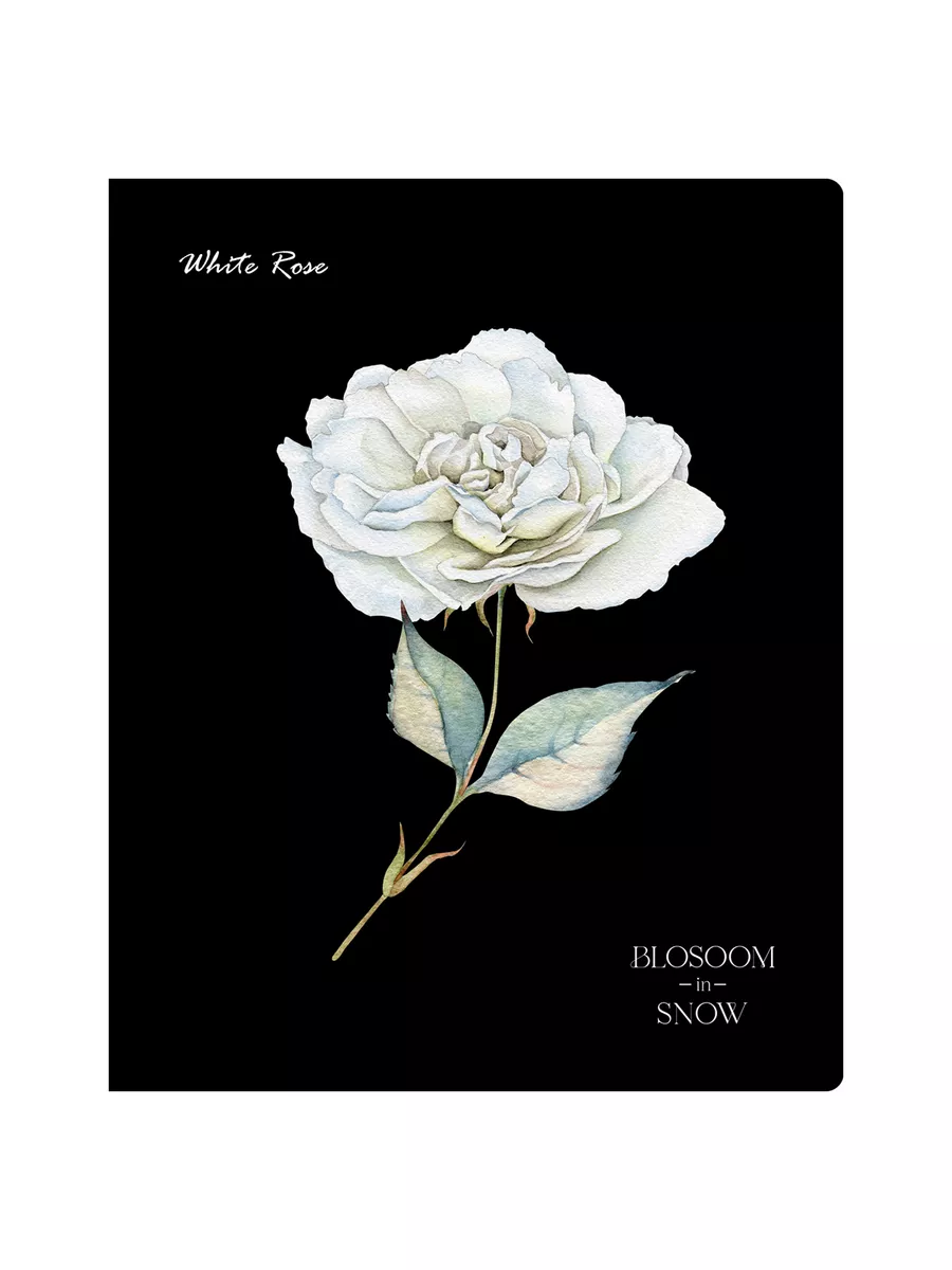 Тетрадь BG клетка 48 лист. 4 шт. - фото 4