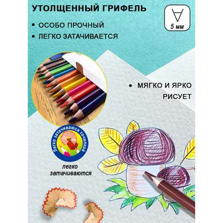 Карандаши цветные ACMELIAE 12 шт.