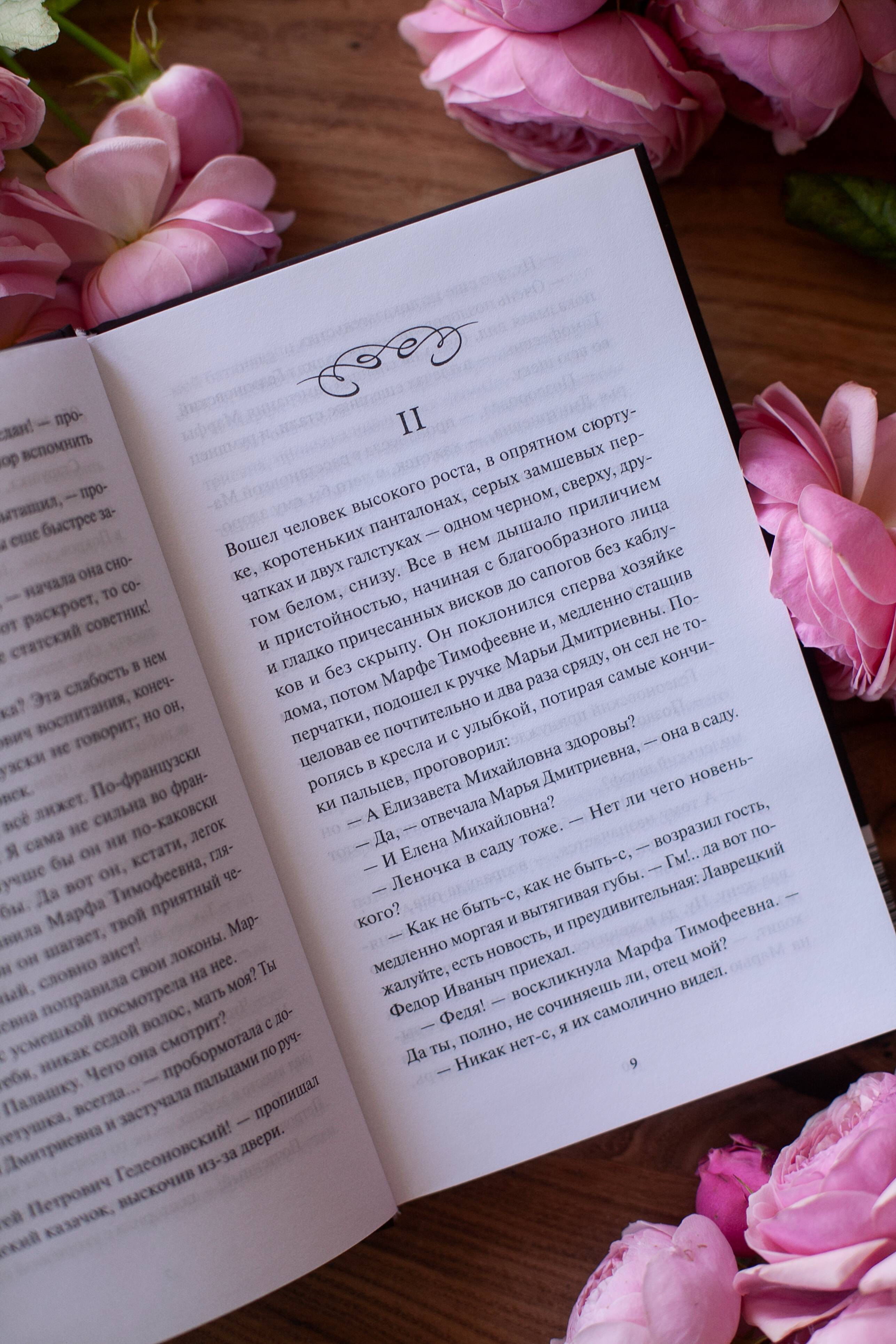 Книга Миф Дворянское гнездо. Вечные истории - фото 7