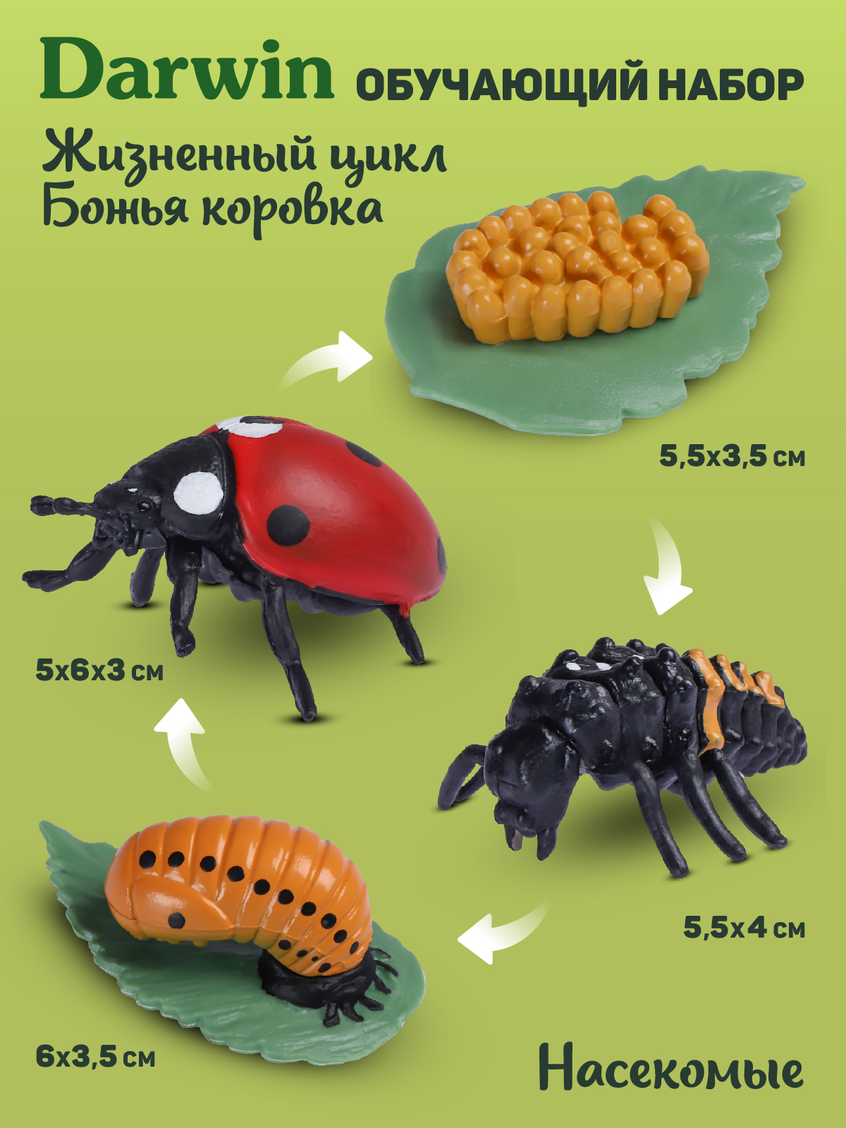 Игровой набор DARWIN Насекомые Божья коровка 4 шт - фото 3