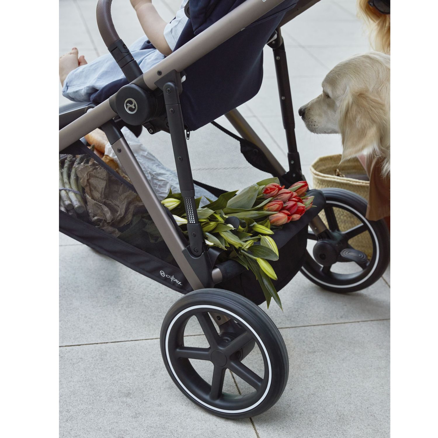 Коляска прогулочная Cybex - фото 16