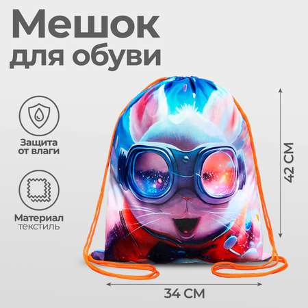 Мешок для обуви Calligrata