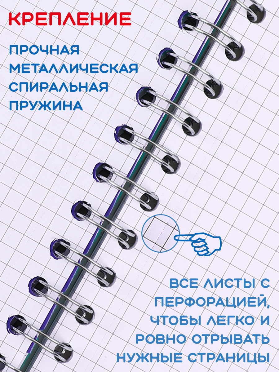 Общая тетрадь KEYROAD клетка 100 лист. - фото 3