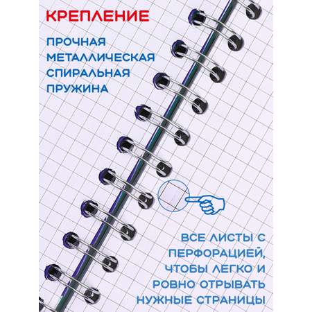 Общая тетрадь KEYROAD клетка 100 лист.
