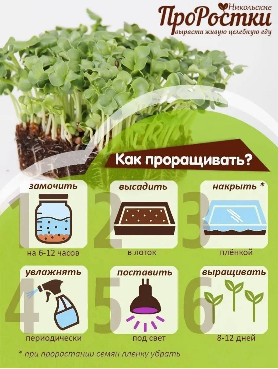 Семена для микрозелени MegaMedia дайкон - фото 6