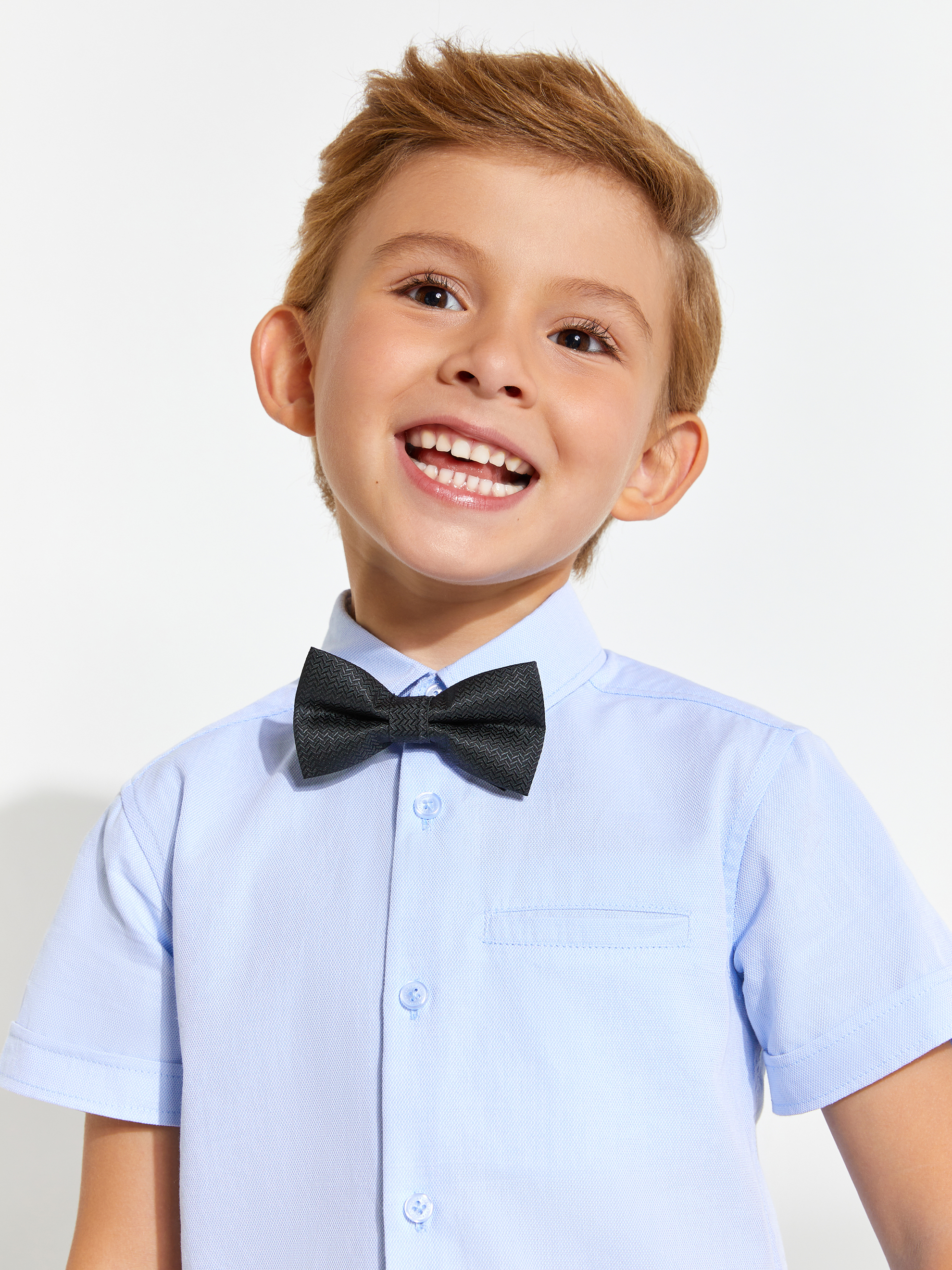 Галстук Acoola 20106460091_0074075 - фото 1