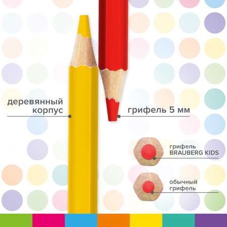Карандаши цветные Brauberg 12 шт.