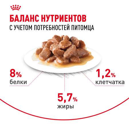 Корм для собак ROYAL CANIN Mini Ageing 12+ для стареющих собак мелких размеров 85г