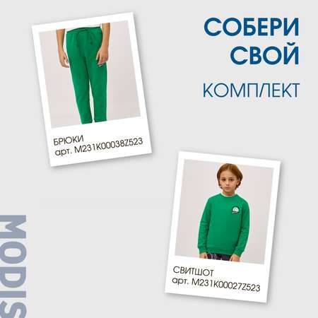 Свитшот MODIS