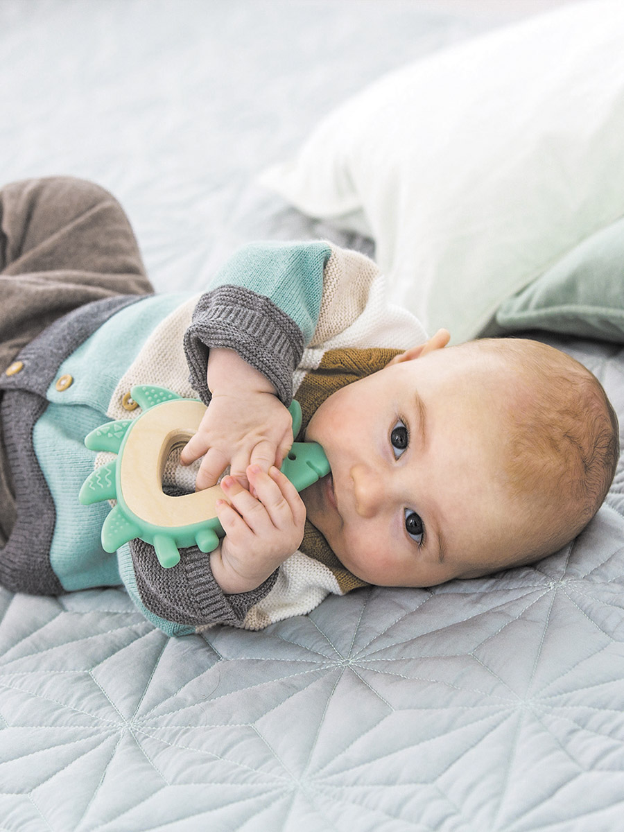 Прорезыватель Hape - фото 1