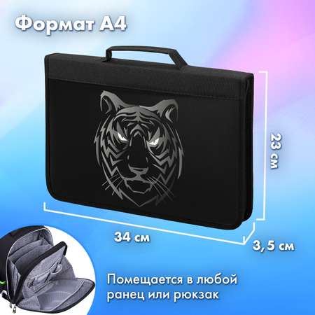 Папка для труда Brauberg А4