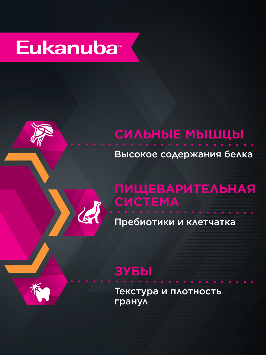 Корм сухой для кошек Eukanuba Cat 400г с домашней птицей - фото 4