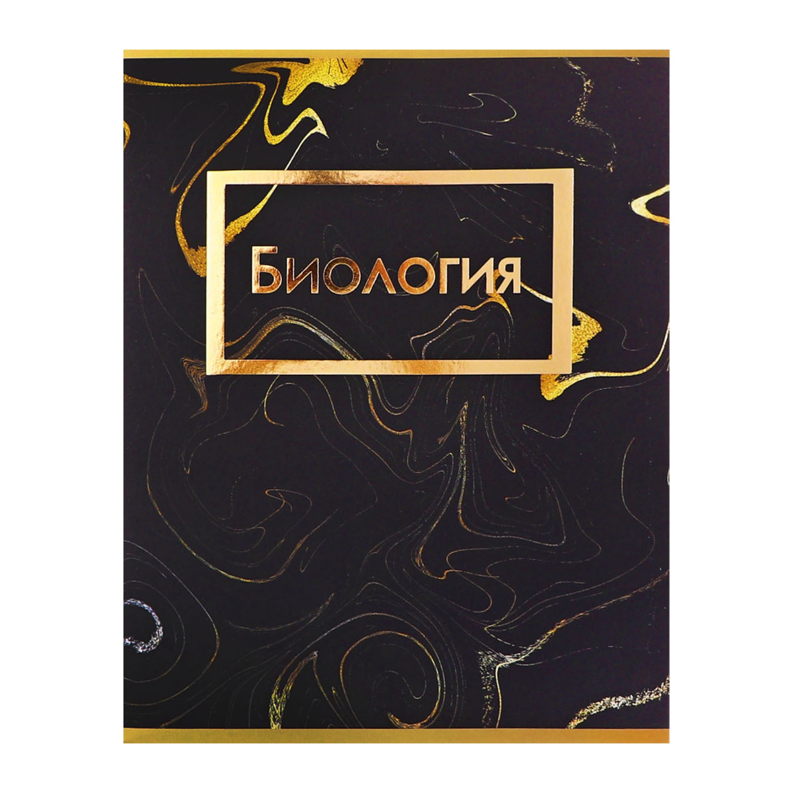 Тетрадь Calligrata - фото 12