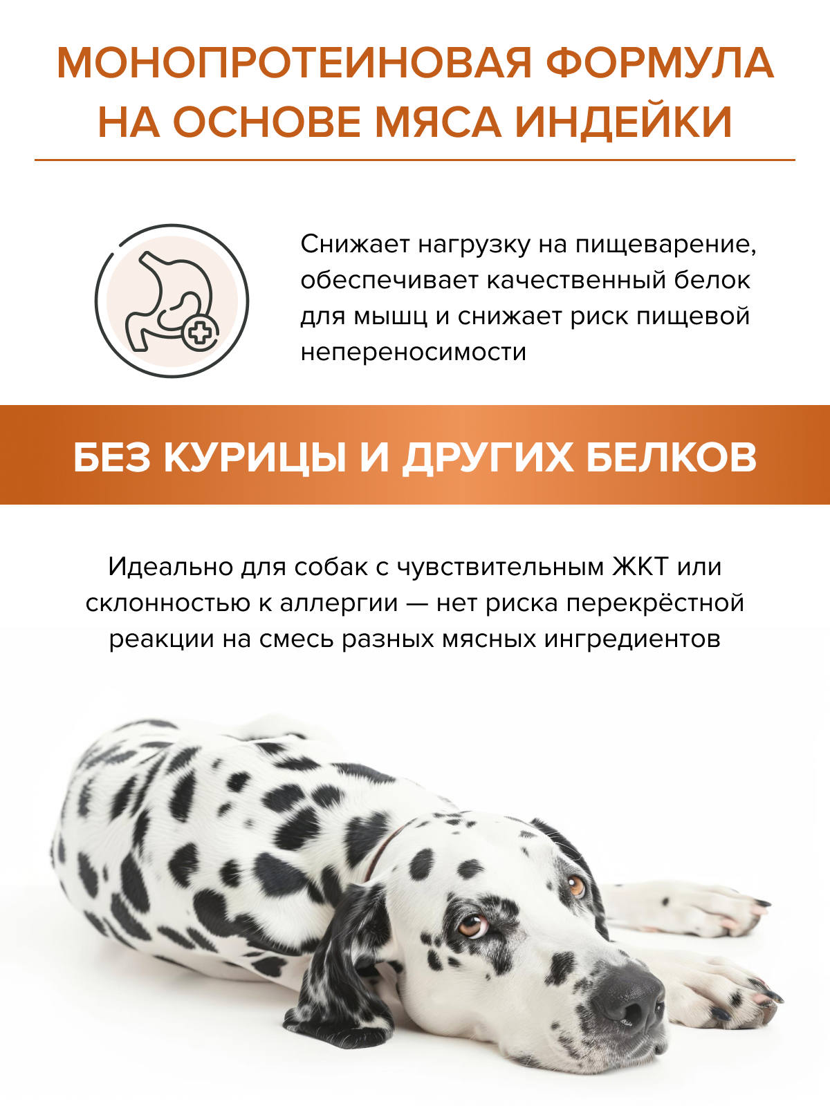 Корм для взрослых собак DOCTRINE сухой с индейкой и рисом 3 кг - фото 6